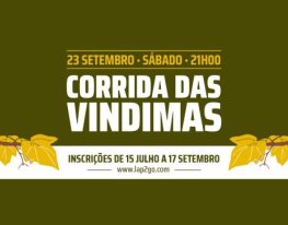 Banner VI Corrida das Vindimas