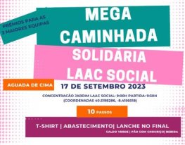 Banner Mega Caminhada Solidária LAAC-Social