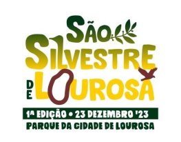 Banner São Silvestre de Lourosa