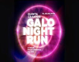 Banner Galo Night Run