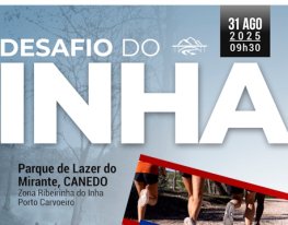 Banner Desafio do Inha