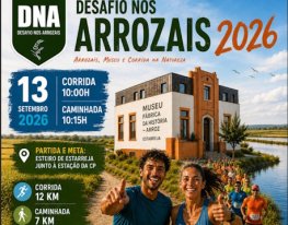 Banner Desafio nos Arrozais