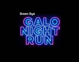 Banner Galo Night Run